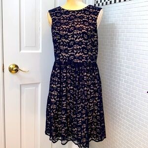Ivy+blu black lace roses fit and flare sleeveless dress. Nude lining.Size10.NWOT